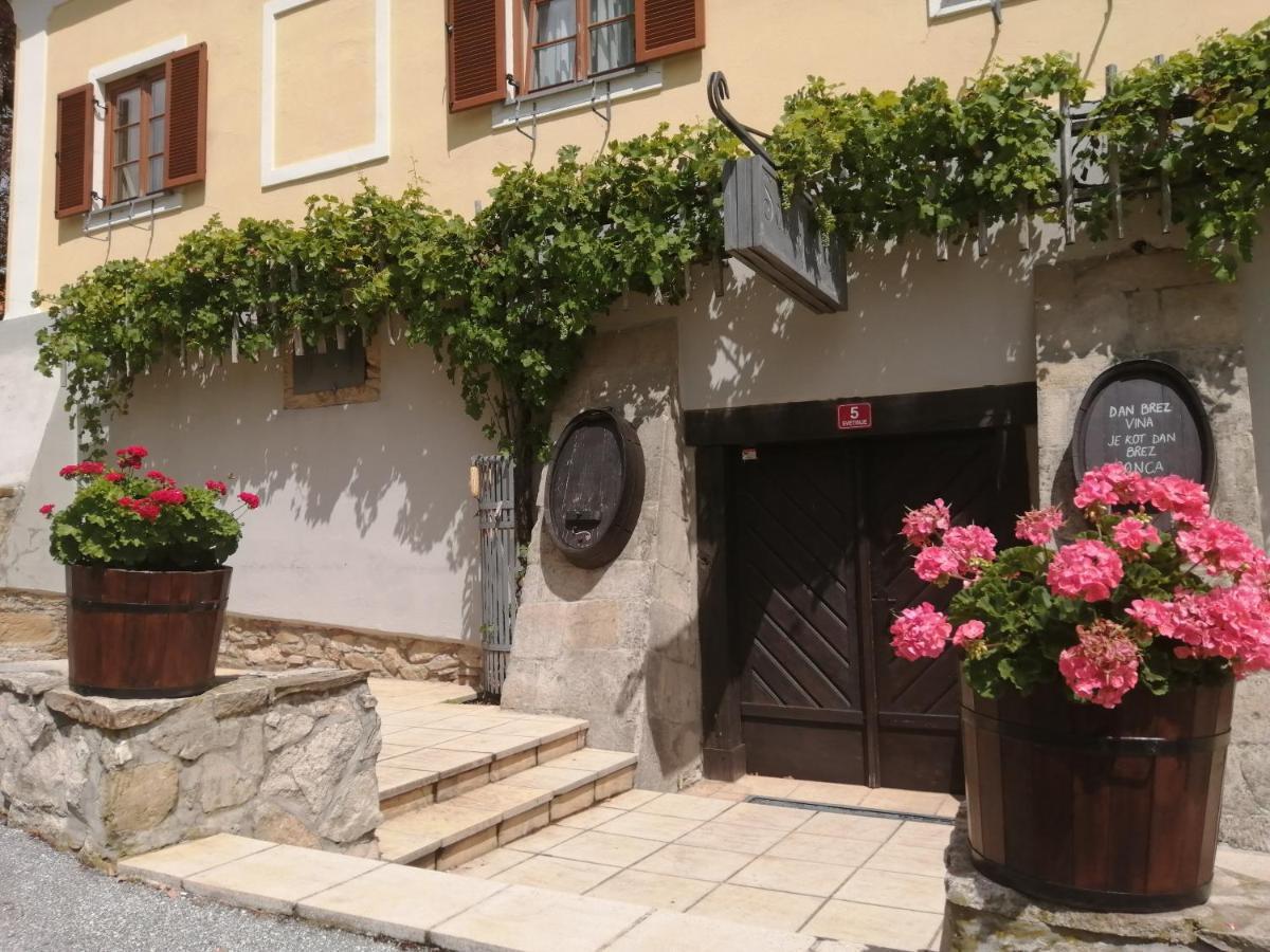 Apartmaji Svetinje Apartment Ivanjkovci Exterior photo